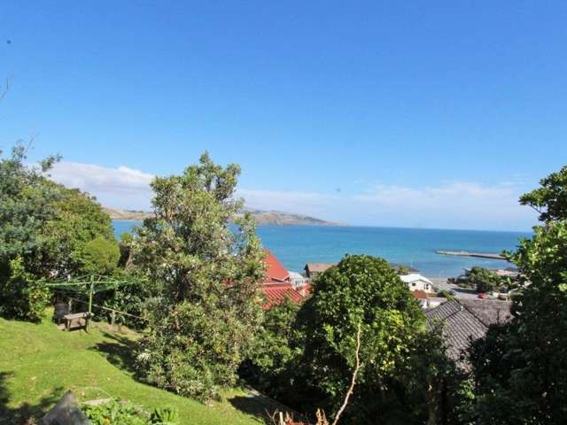 164 Motuhara Road Plimmerton_2