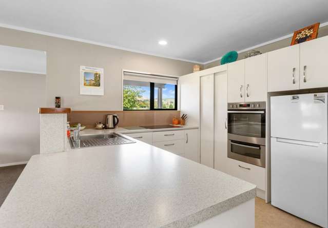 441 Kuranui Road Morrinsville_3