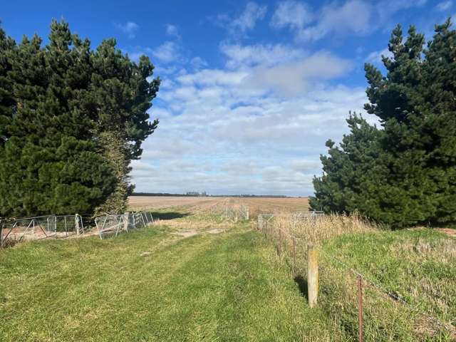 1234 Back Track Ashburton_3