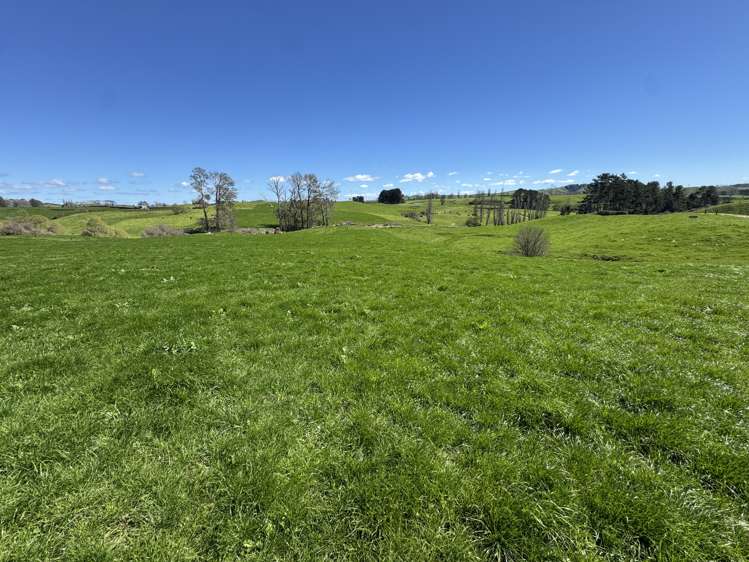 530 Mangatutu Rd RD3 Maihiihi_19