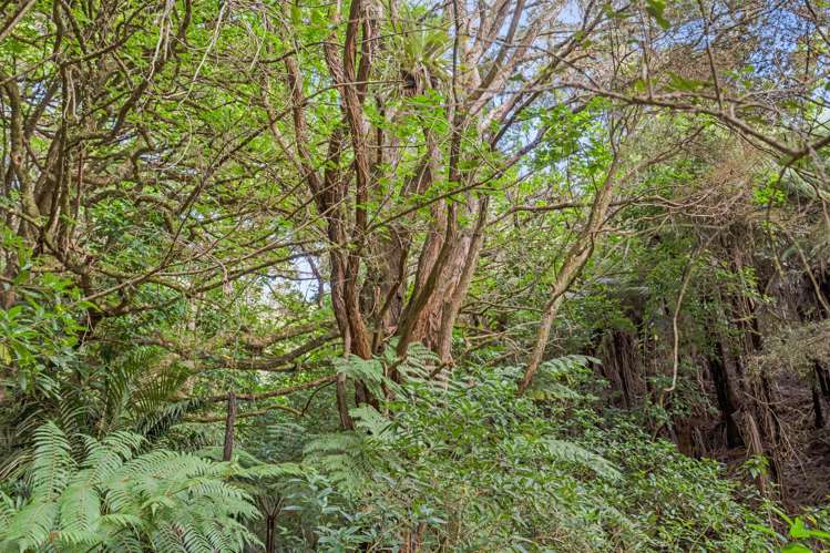 1169 Ngunguru Road Kiripaka_6