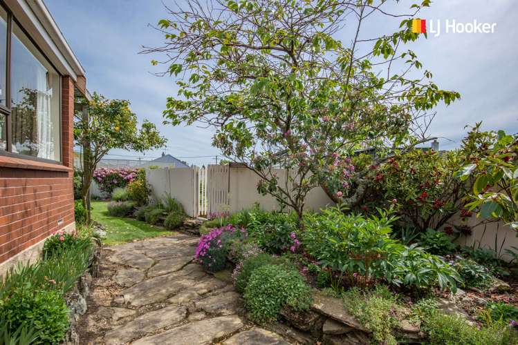 31 Wickliffe Street Mosgiel_15