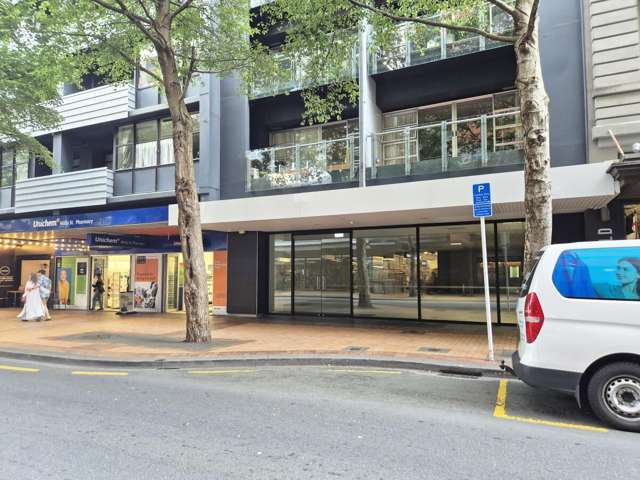 54 Willis Street Wellington Central_1