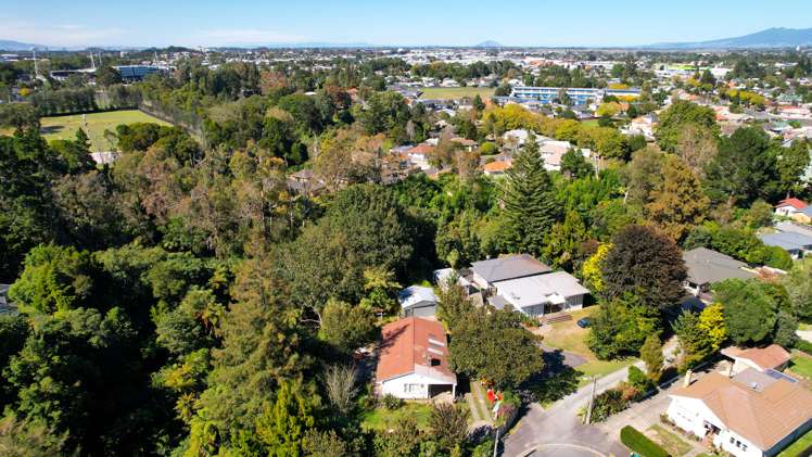 7 Murray Street Maeroa_8