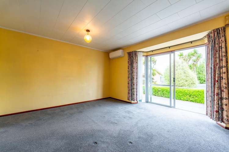 2/8 Campbell Street Maori Hill_5