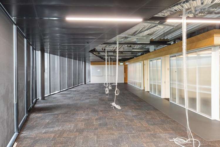 1/335 Lincoln Road Addington_12