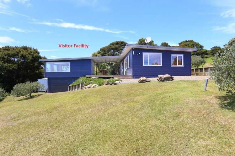 103 Musson Drive Waiheke Island_16