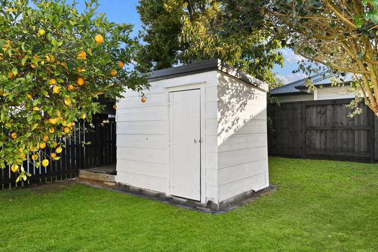 19 Elmwood Crescent Pukete_20