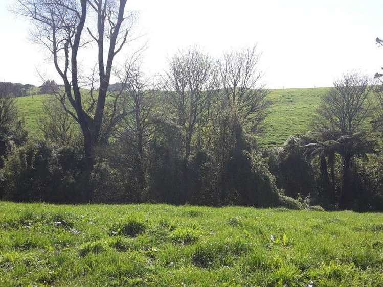 346 Rugby Road Tariki_30