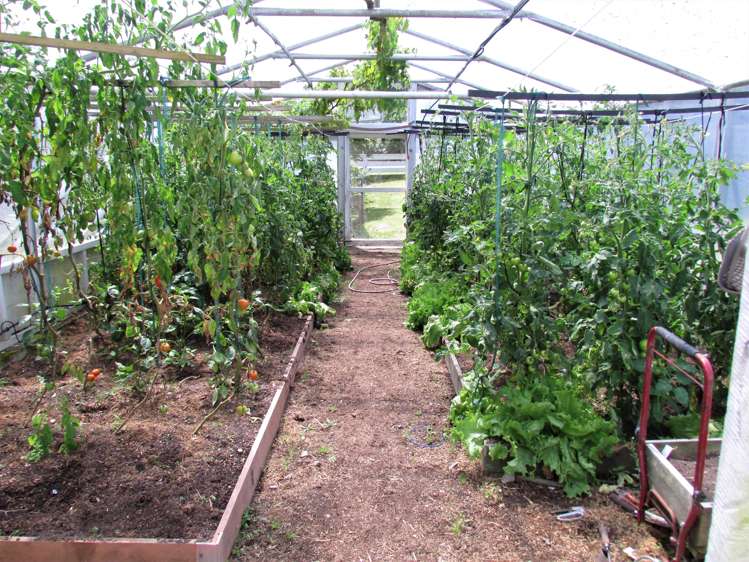 660 Taylorville Road Taylorville_24