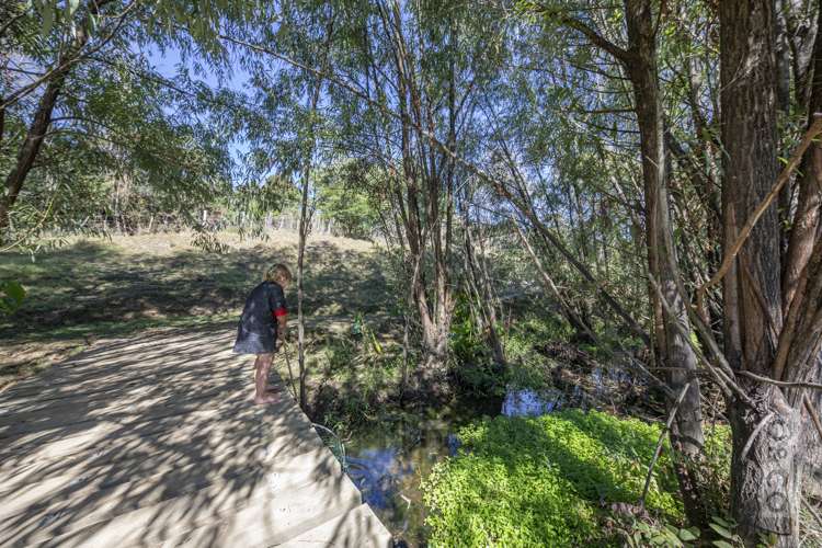 231 Waitakere Road Taupaki_28