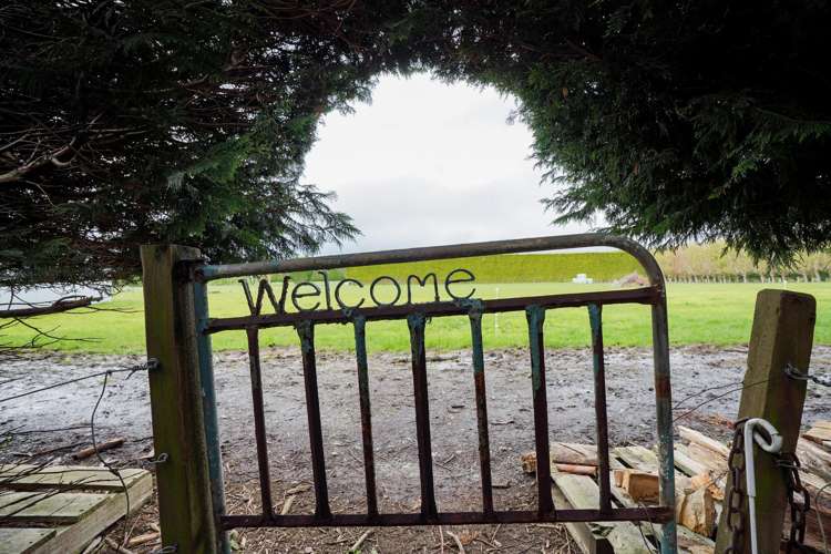 468 Lorne Dacre Road Roslyn Bush_38