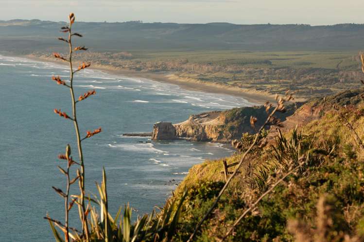 216 Constable Road Muriwai Beach_27