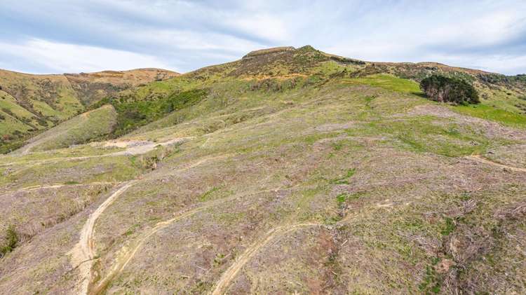 1301 Western Valley Road Port Levy_14