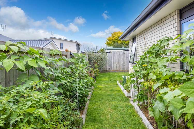 1/41 Grandview Road Nawton_16