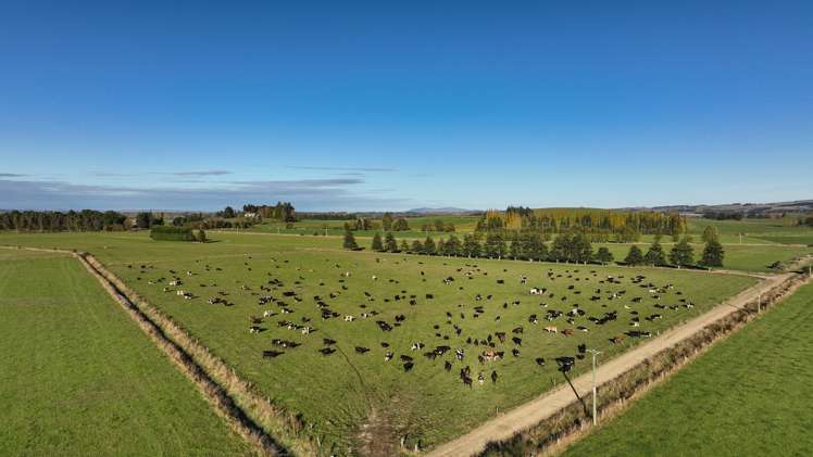 60 Moncurs Road West Otago Surrounds_6