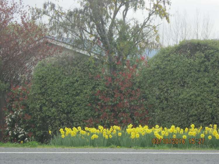 125 Main North Road Geraldine_30