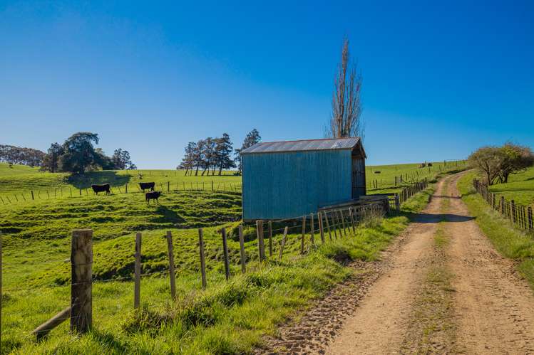 3629 State Highway 2 and Coxhead Road Mangatarata_9