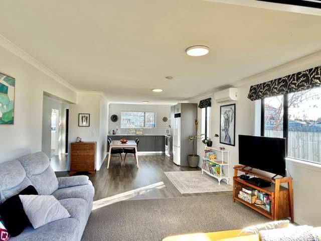 76 Geddis Avenue Maraenui_4