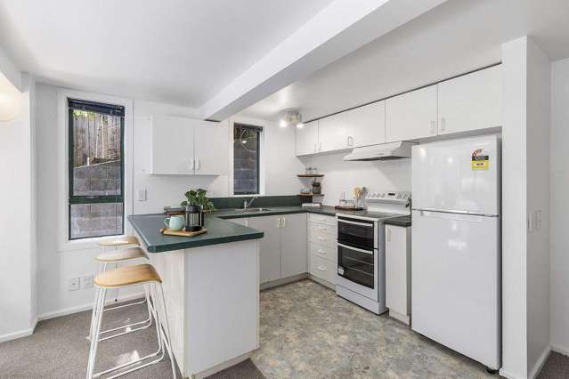 140A Rakau Road Hataitai_3