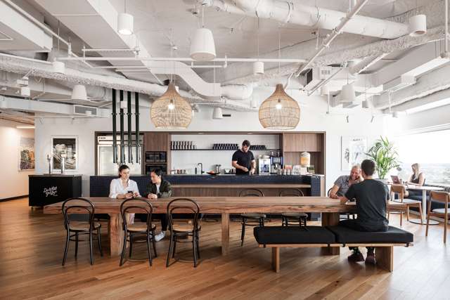 Auckland co-working office leasing boom