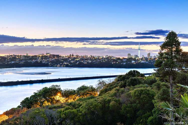 3/11 Awarua Crescent Orakei_1