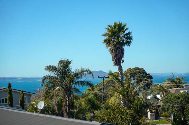 23a Carlisle Road Browns Bay_4