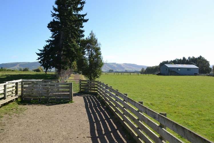 230 Bush Road Mosgiel_15