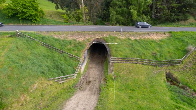 51 Falkner Road Eketahuna_17