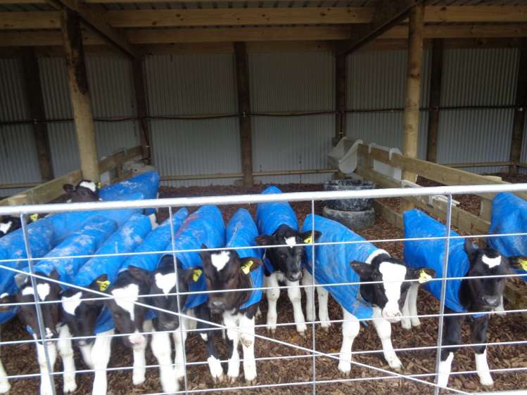 667 Stanley Road Wainui_11