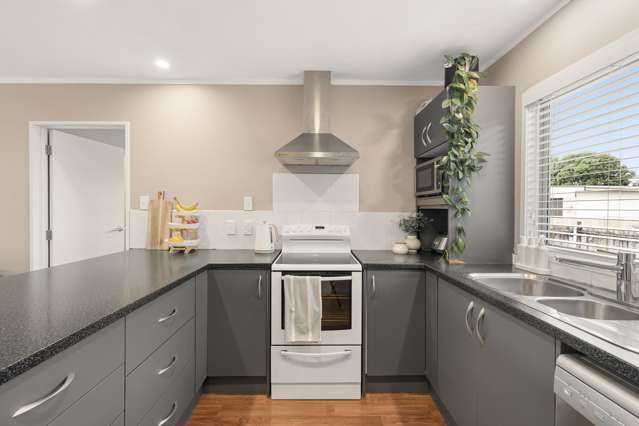239A Maungatapu Road Maungatapu_2