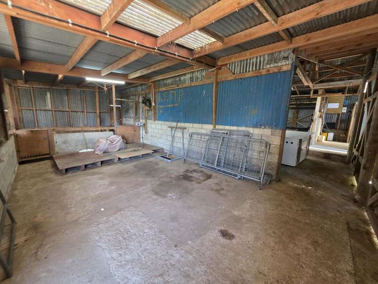 2/4798 Ohaupo Road Te Awamutu_28