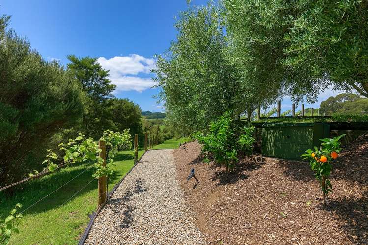 61A Whitford Park Road Whitford_36