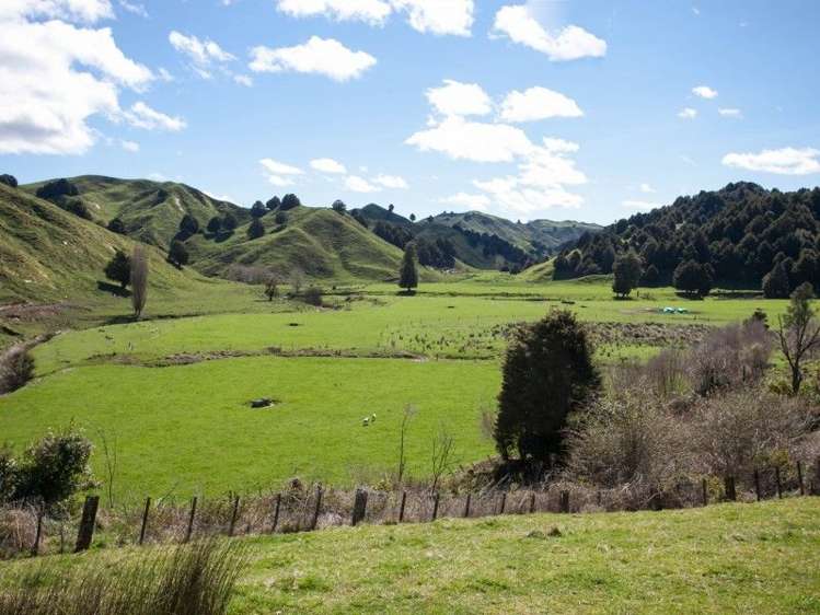 1190 Ohura Road Waimiha-Ongarue_16