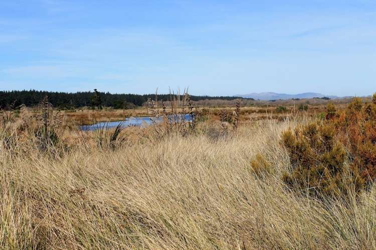 66 Te Kohanga Drive Pegasus_3