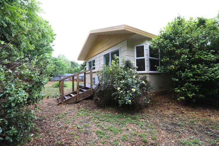 40 Alma Street Renwick_17