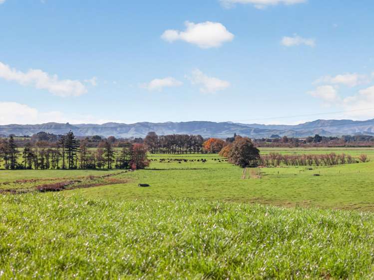 807 Te Ohaki Road Huntly_0
