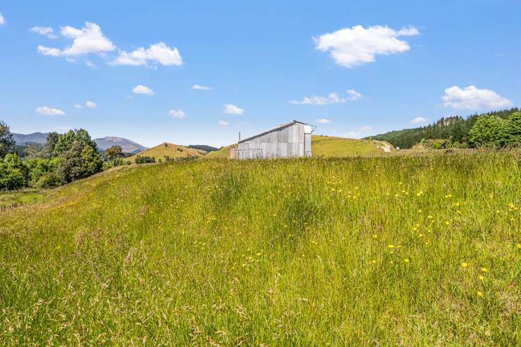 949 Wakefield-Kohatu Highway Wakefield_10