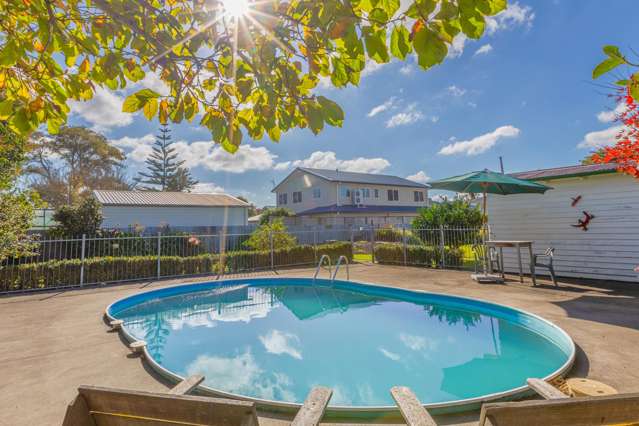 1/4 Acre Kiwi Dream