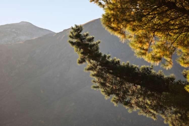 Gibbston Back Road Gibbston_9