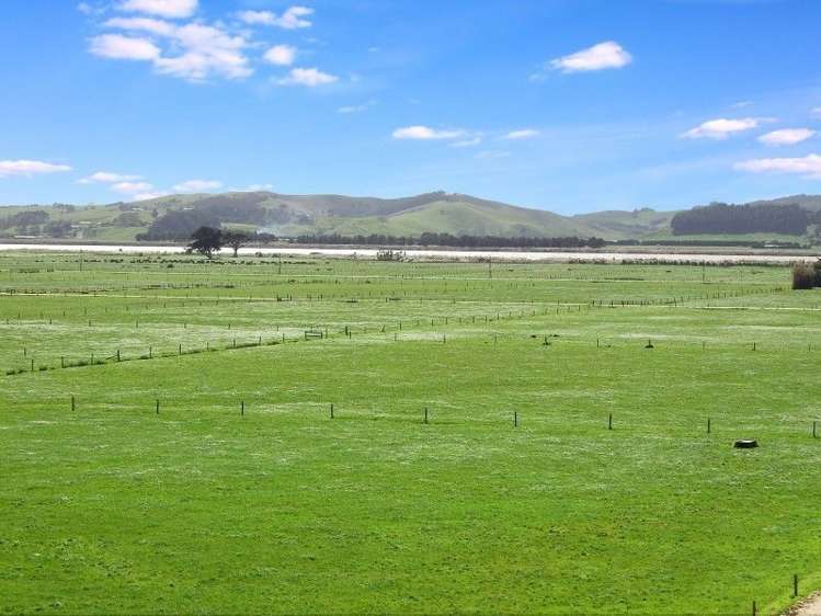 762 Pouto Road Te Kopuru_8