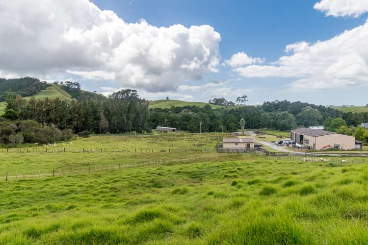 401 Wright Road Matakana_40