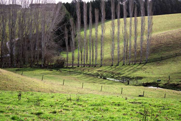 118 Old Port Road Catlins Surrounds_15