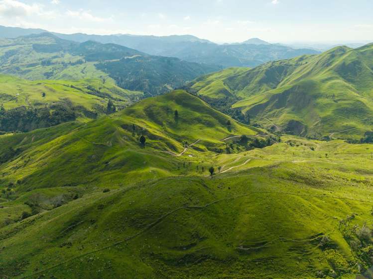 Matawai Station, 772 Oliver Road Matawai_12