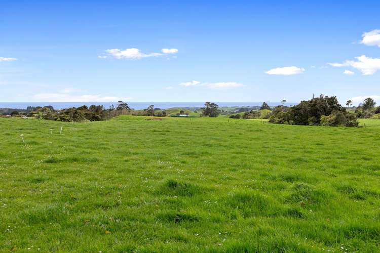 655 Plymouth Road Koru_7