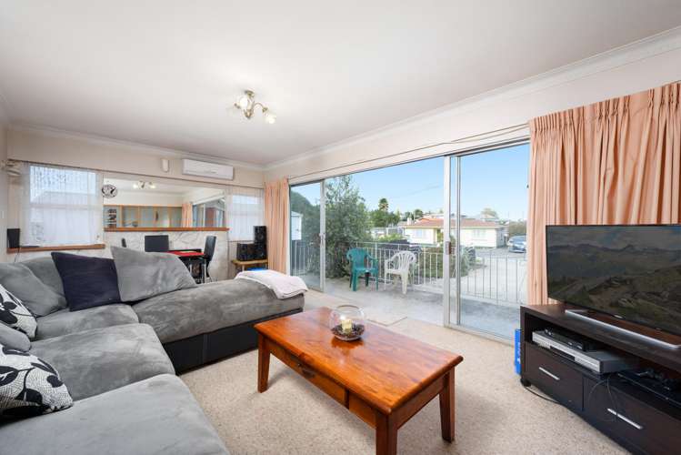 29 Tyrone Street Greerton_4