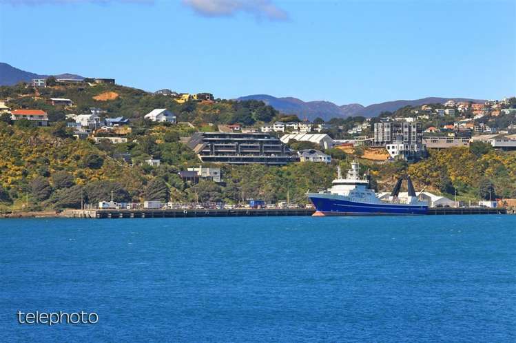 S503/326 Evans Bay Parade Hataitai_27