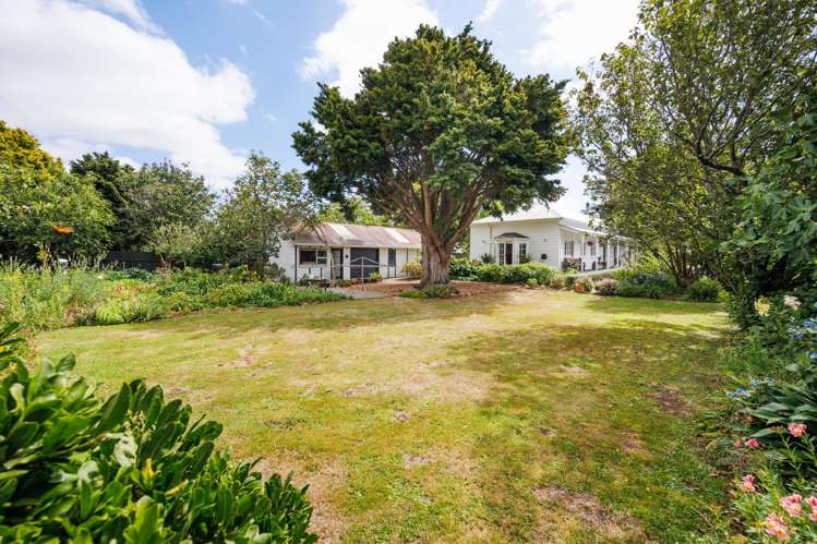 208 Cambridge Avenue Ashhurst_3