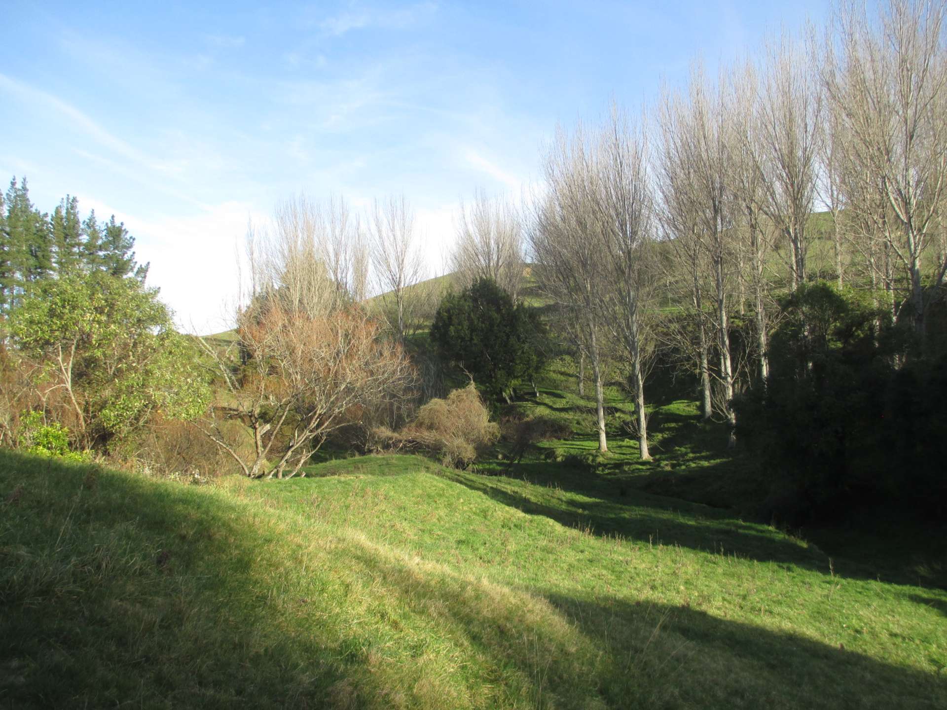 250 Maunga Road Dannevirke_0