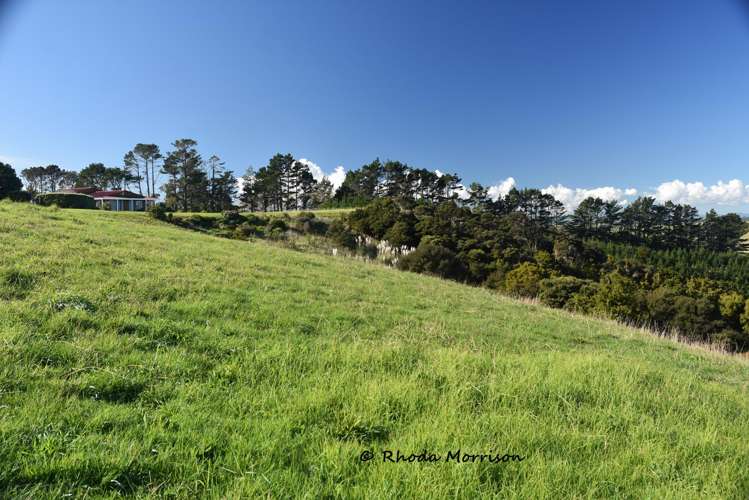 986 Tinopai Road Matakohe_42